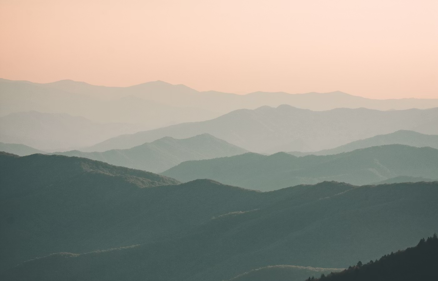 Личная траектория для предпринимателя